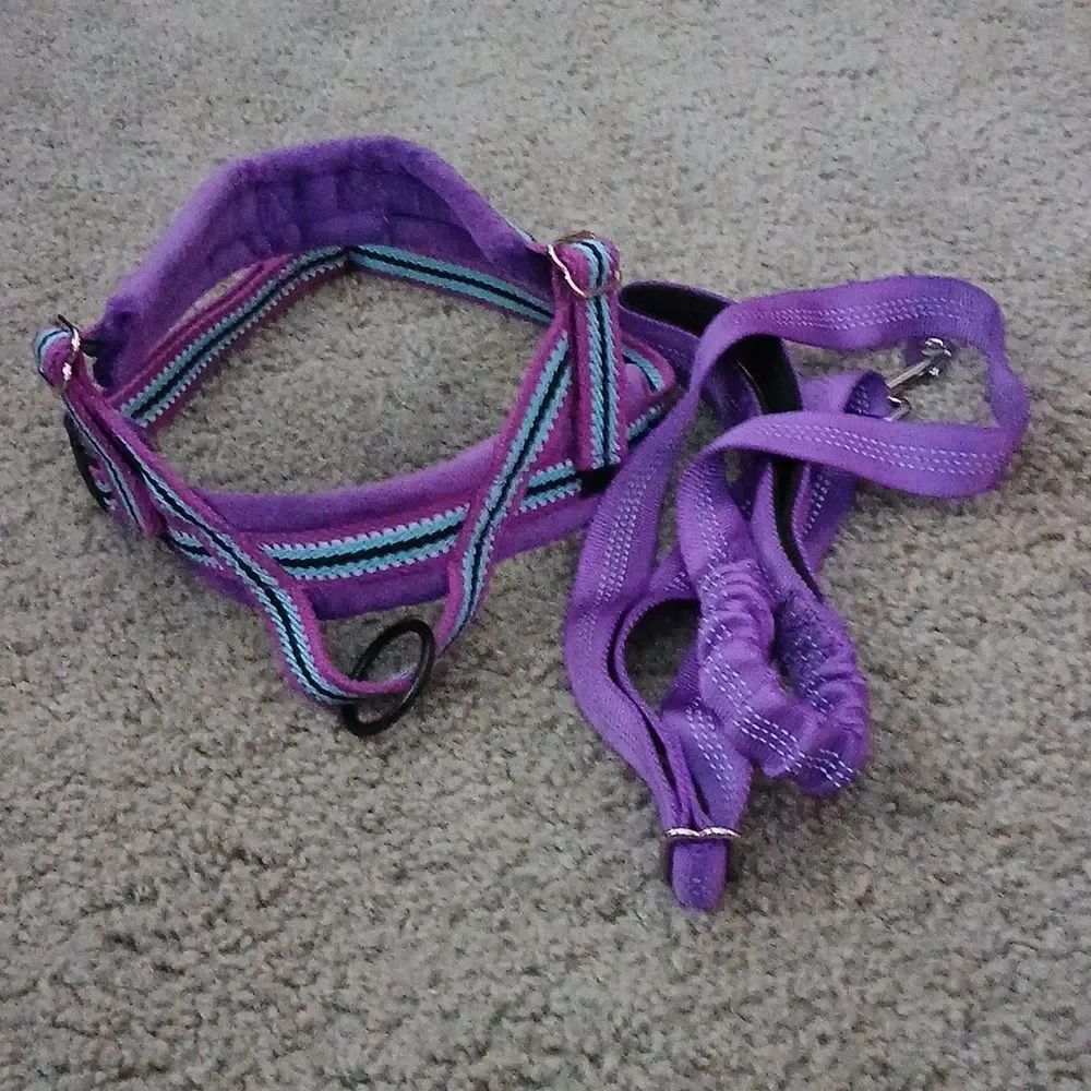 No Pull Small Dog Harness and Leash Set,  Purple Sz M